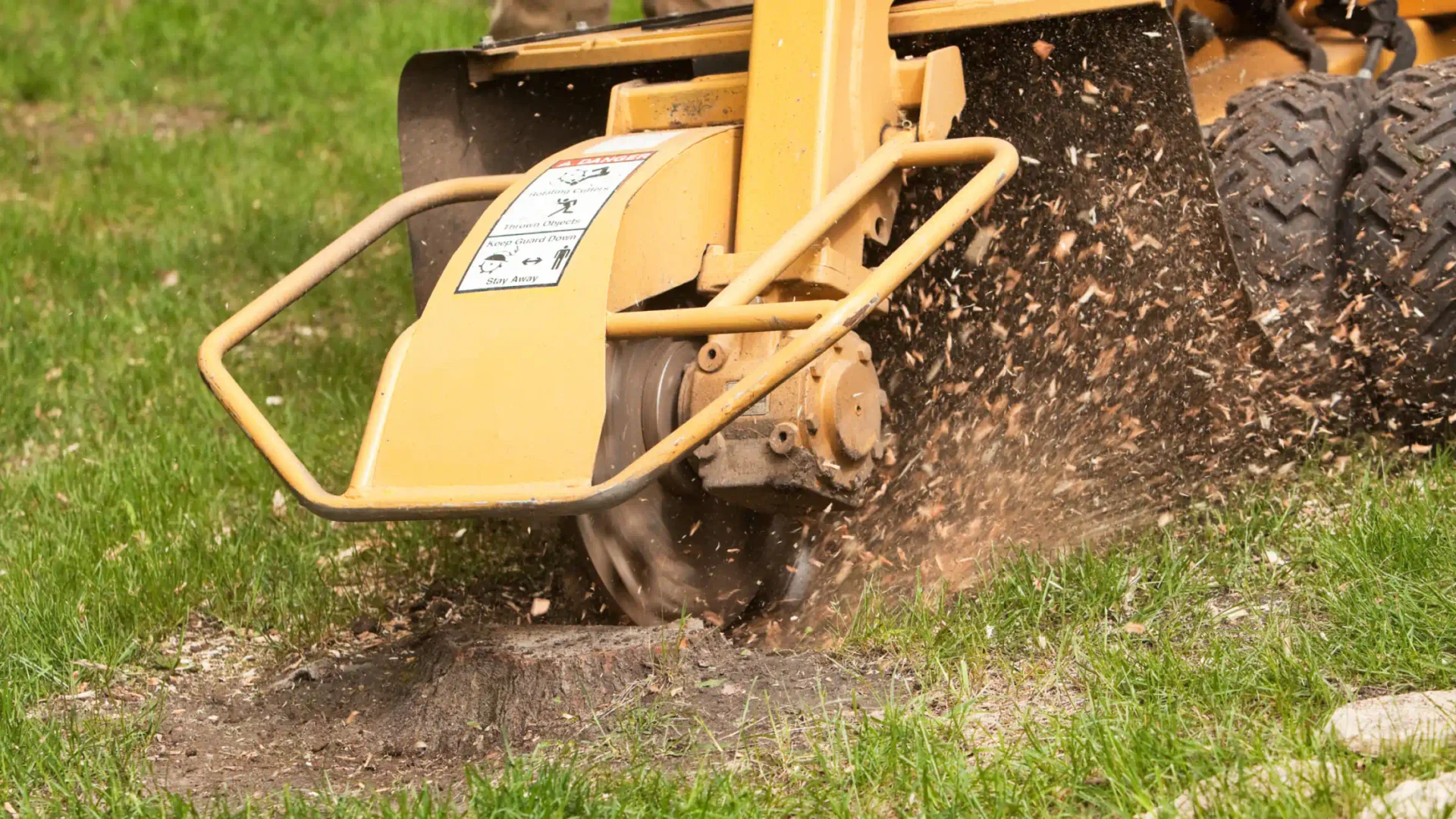 ongoing stump grinding service